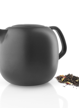 现 eva solo Nordic Kitchen teapot 北欧简约黑色茶壶