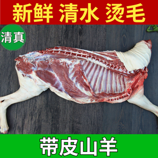 （顺丰）清真带皮山羊半羊整扇草膘散养1年半膻味小味道鲜美