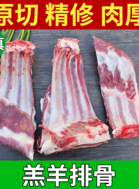 （顺丰+炖料）清真羔羊肋排 精修肉厚不肥 切大块带羊腩可烧烤