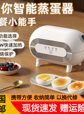 智能迷你家用1人煮蛋器蒸蛋神器自动断电宿舍早餐包子机3蛋120W
