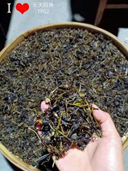 广东特产甜茶 农家自晒 传统原生态南华茶六祖禅茶 甜茶散装250g