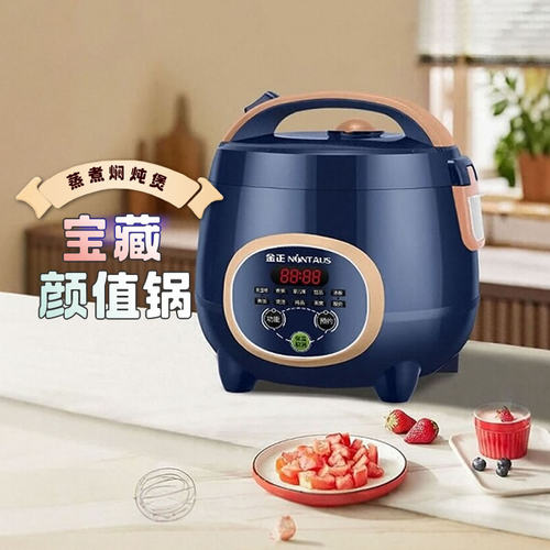 NONTAUS金正多功能电饭煲不粘胆