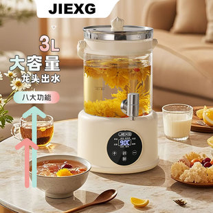 德国JIEXG养生壶办公室烧水壶家用小型煮茶壶多功能带龙头煮茶器