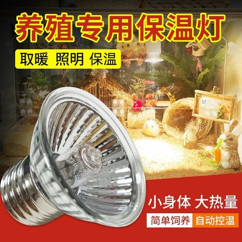 芦丁鸡保温灯小鸡育雏取暖