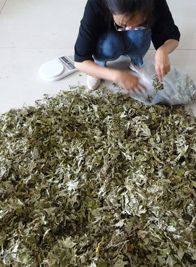 湖北蕲艾泡脚艾草泡澡身体去湿