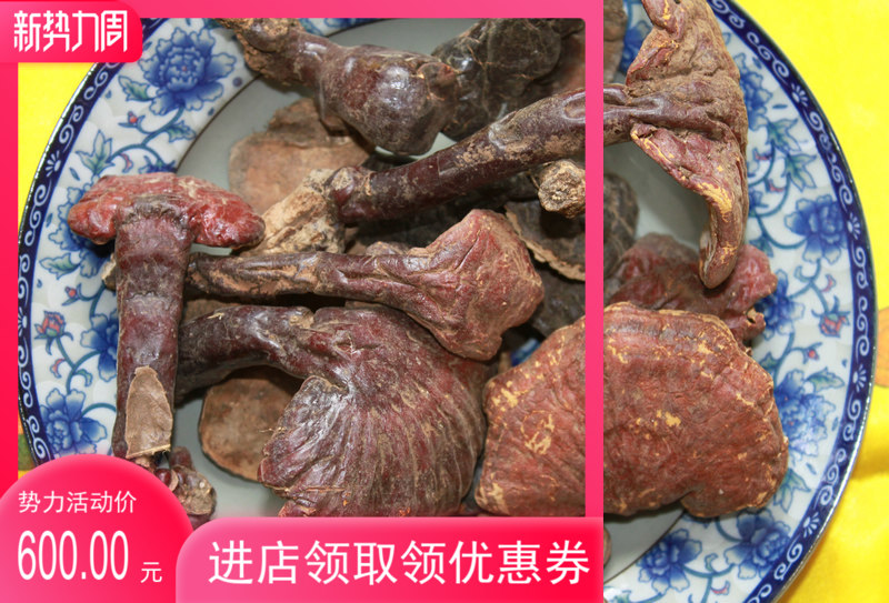 西藏赤芝 野生灵芝  野生西藏灵芝 精品包邮送西藏礼品价格优惠图片