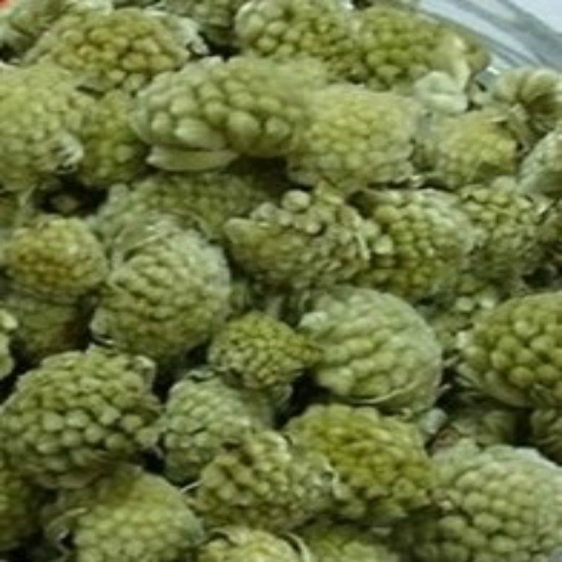 野生特产新品包邮送西藏绿萝
