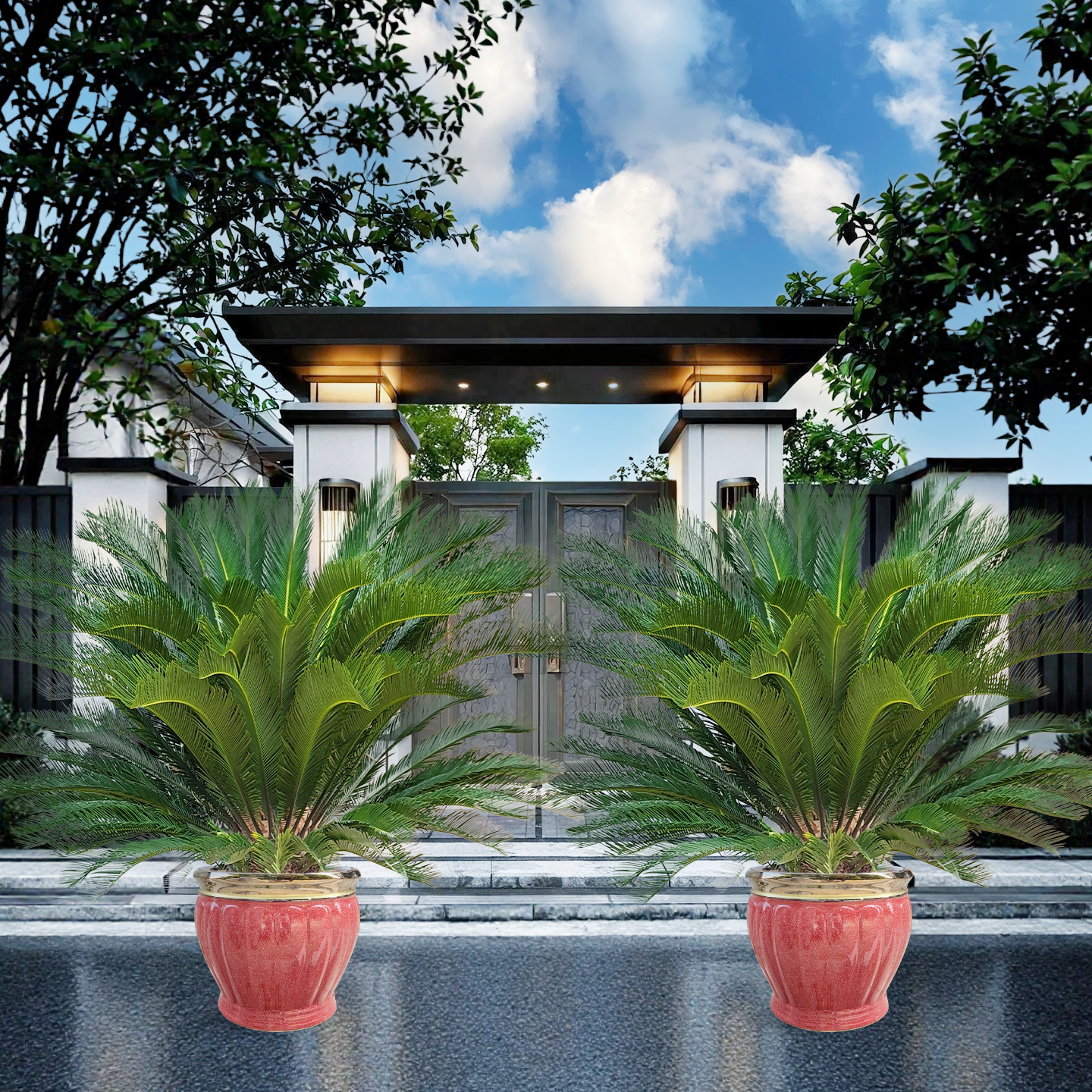 铁树盆栽大型苏铁龙铁树别墅门口庭院绿植盆景禅植物【一对发货】