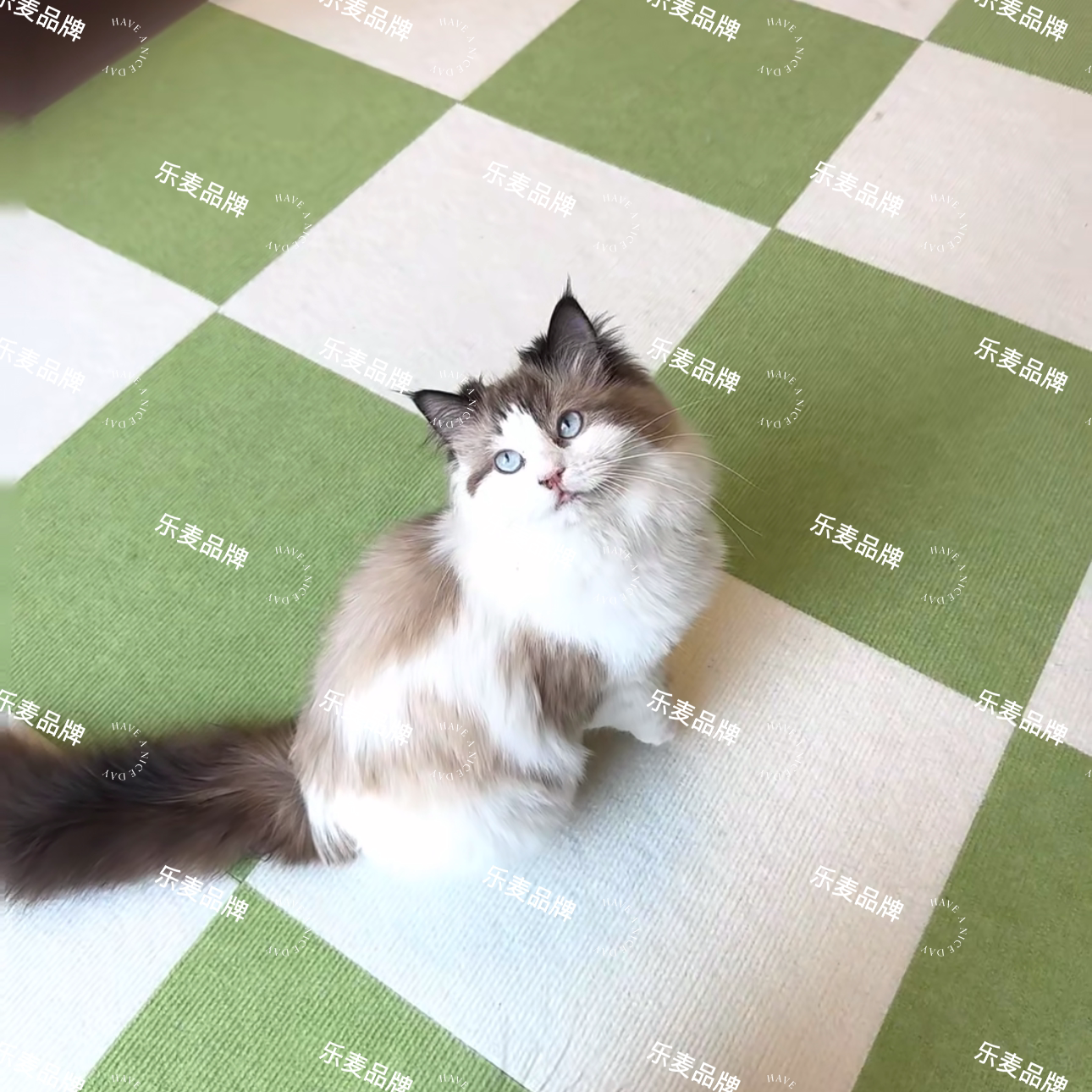 乐麦猫狗通用四季毛绒宠物垫