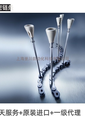 德国伊维氏IWIS链条长销链条制管制罐链条烘箱加长销链条10B08B-1