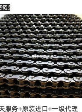德国ELiTE链条04B-1进口链条04B-2 IWIS ELiTE链条单双排传动链