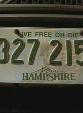 绝命毒师|周边道具|大结局|老白|不自由毋宁s|像素级复刻凸字车牌