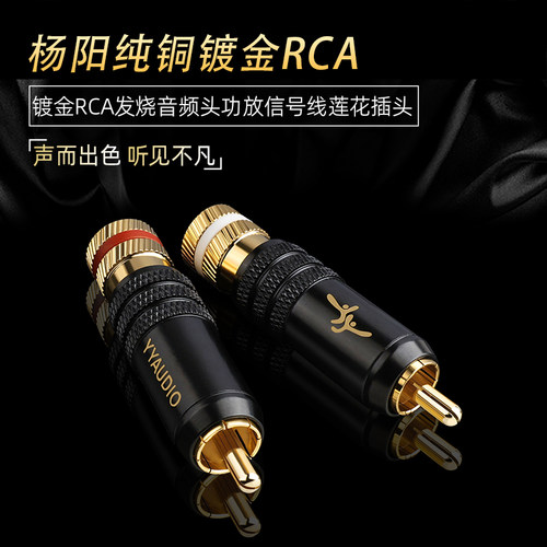 台湾杨阳信号线RCA插头