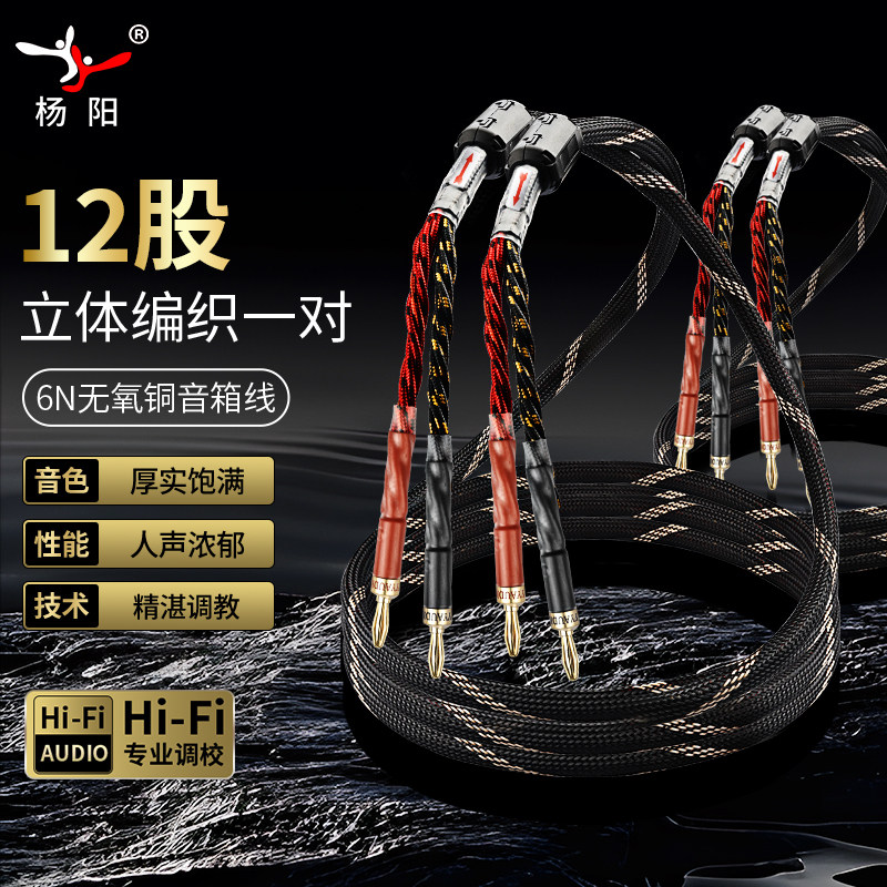 杨阳发烧级12股6N无氧铜音箱线喇叭线hifi音响功放连接线香蕉头