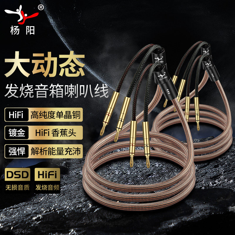日本原装金嗓子40周年纪念版音响线 发烧级喇叭线 hifi音箱线功放