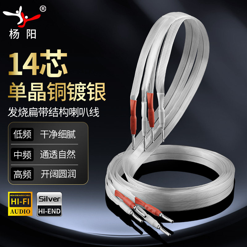 杨阳发烧单晶铜镀银丝带喇叭线环绕音箱香蕉头功放专用音频连接线