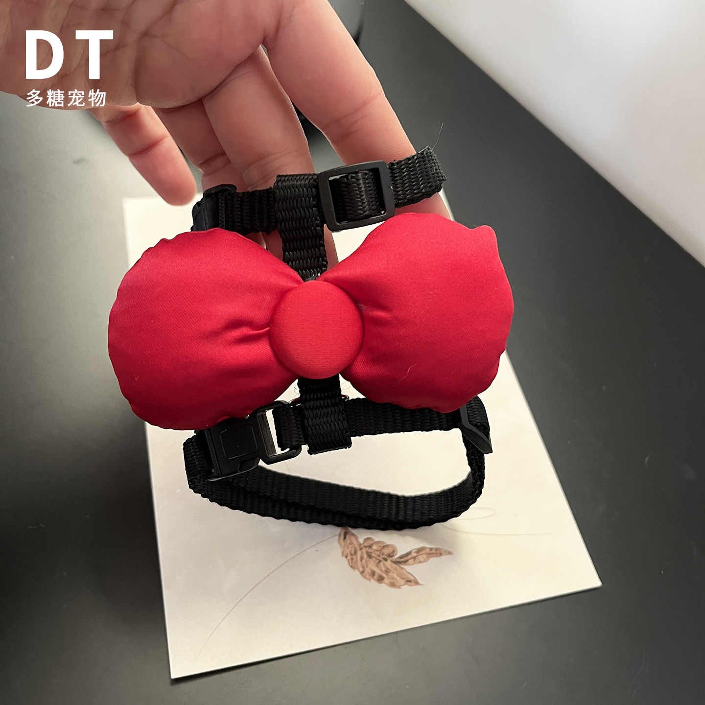 红色大蝴蝶结宠物牵引绳猫咪外出放挣脱工字型猫咪绳子小型犬遛狗,宠物/宠物食品及用品,猫牵引绳,淘宝优惠券,粉丝福利购,淘宝优惠卷