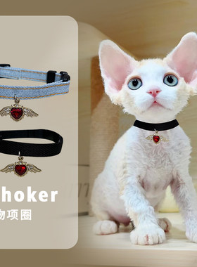 猫咪德文阿比熊猫咪项圈项链狗铃铛猫项圈狗脖圈宠物项圈蓝白项链