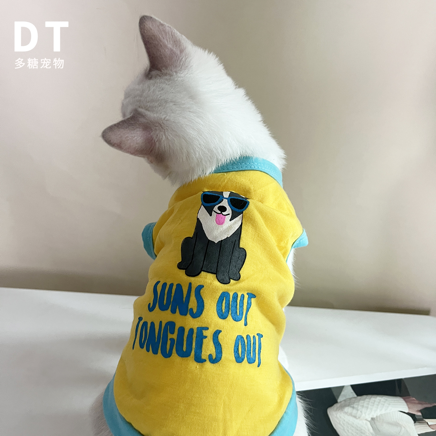 猫咪宠物防掉毛衣服薄款背心可爱卡通案夏季宠物泰迪金渐层比熊犬