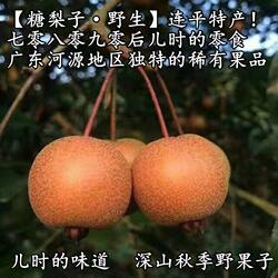 广东棠梨子河源棠梨果野梨小糖梨子野生山梨潮汕鸟梨新鲜水果禾梨