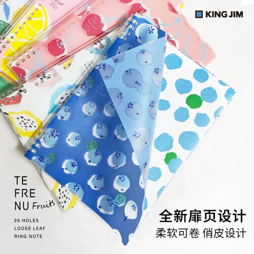 日本Kingjim锦宫超薄活页本宫下和联名限定TEFRENU笔记本B5学生用