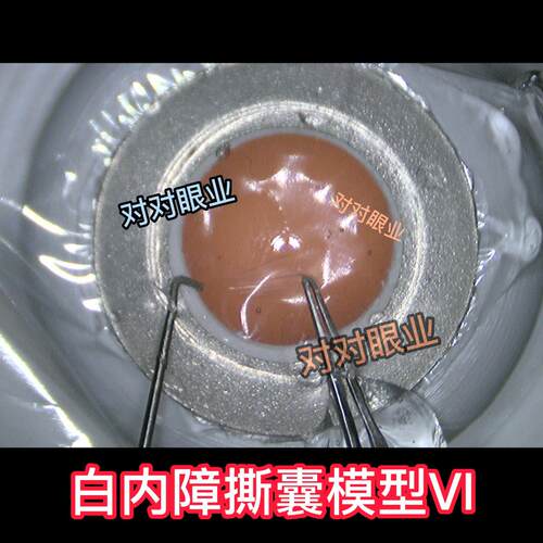 白内障环形撕囊模型VI 眼科手术教学模型