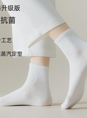 袜子女春季新款纯棉女袜白色女生中筒春秋女款纯色薄款搭配小皮鞋