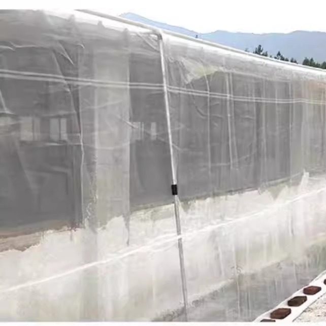 14目防虫网大棚果园猪场防蚊专用莲雾防鸟网全新聚乙烯养殖网,鲜花速递/花卉仿真/绿植园艺,其它园艺用品,淘宝优惠券,粉丝福利购,淘宝优惠卷