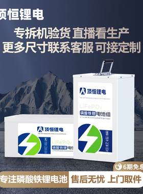 顶恒电动车48v60v72v锂电池磷酸铁锂外卖快递专用三轮车电瓶定制