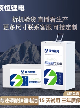 顶恒电动车48v60v72v锂电池磷酸铁锂外卖快递专用三轮车电瓶定制