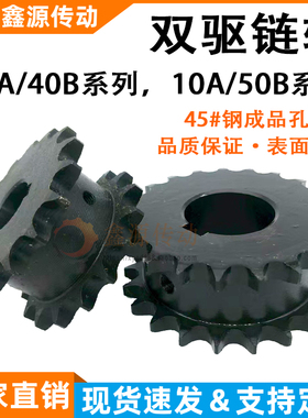 双驱链轮4 5分08A10A VLR01-40 50-12齿-21齿SP4050SD假双排链轮