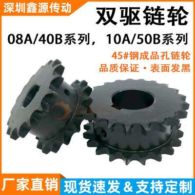 双驱链轮4 5分08A10A VLR01-40 50-12齿-21齿SP4050SD假双排链轮