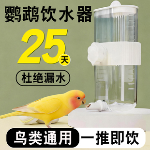 鹦鹉饮水器自动喂水小鸟用水壶撞针新款喝水神器虎皮牡丹玄凤专用