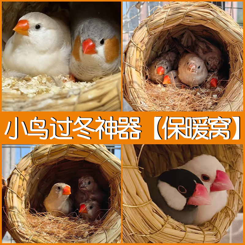 小鸟过冬神器鸟窝冬季保暖鸟巢