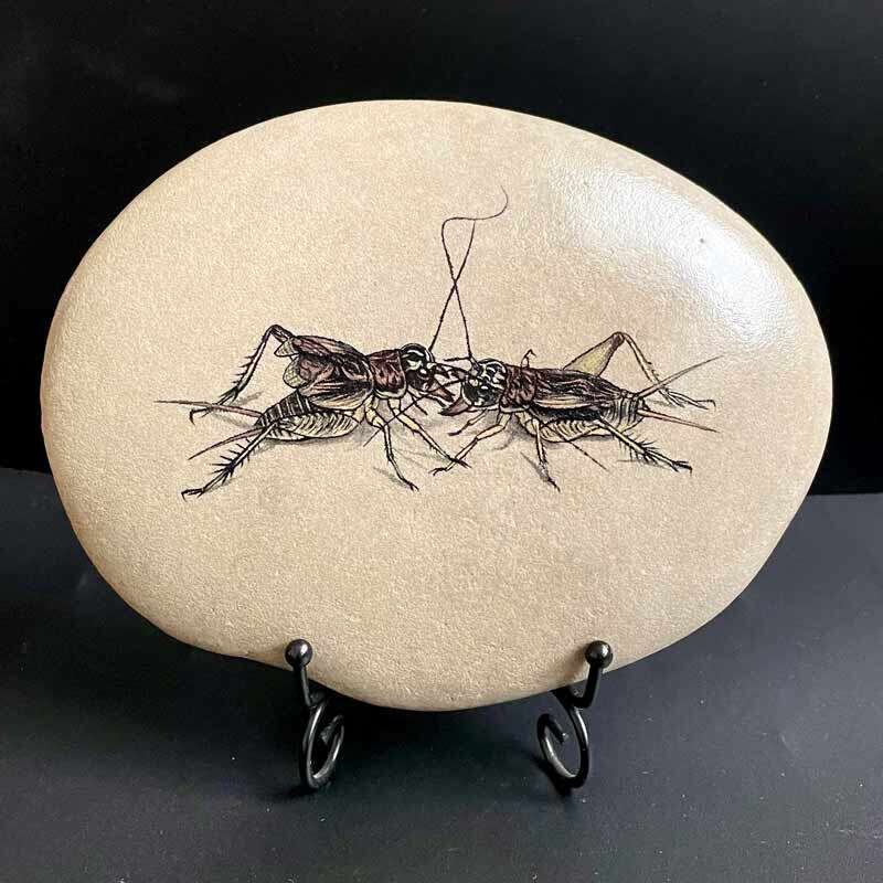 手绘防水不掉色丙烯石头画蛐蛐成品书房客厅节日礼品摆件高端精品