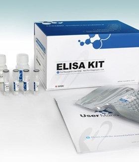 小鼠脑源性神经营养因子酶联免疫检测试剂盒Mouse BDNF ELISA KIT