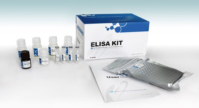 小鼠白介素10酶联免疫试剂盒Mouse IL-10 ELISA KIT检测试剂盒