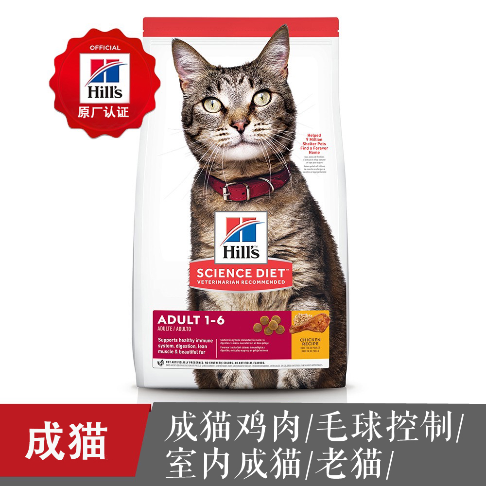 室内化毛球绝育成猫老猫希尔斯