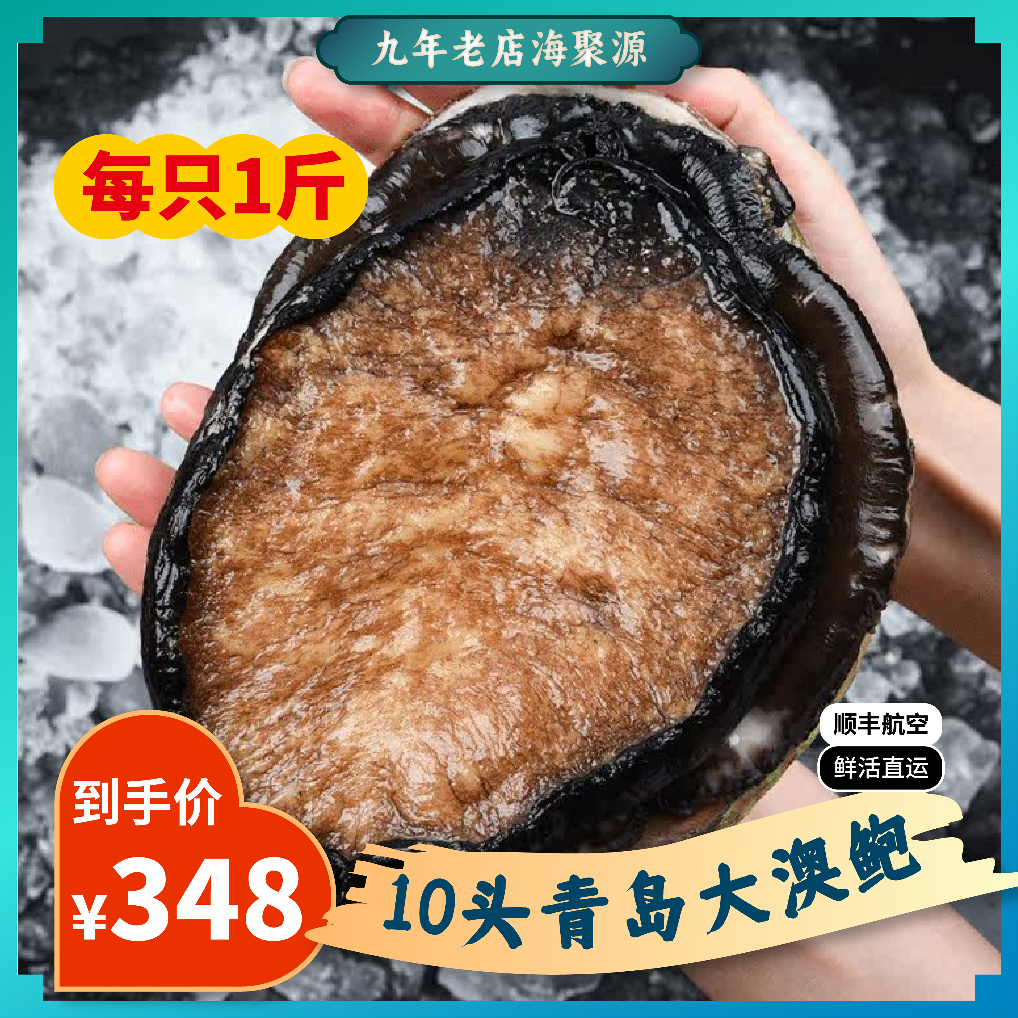 鲜活澳鲍进口澳洲超特大鲍鱼新西兰黑金鲍鱼海鲜水产1斤/只