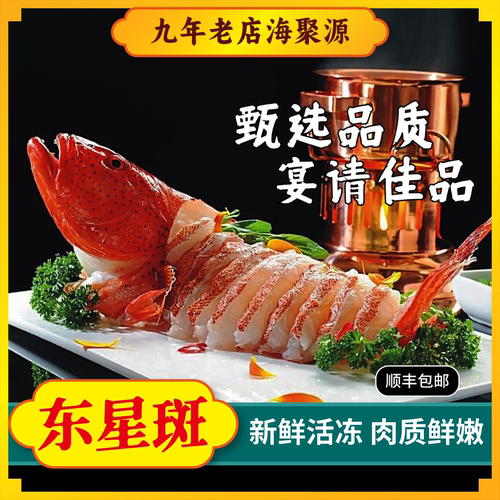 鲜冻海捕东星斑深海捕捞两斤超大