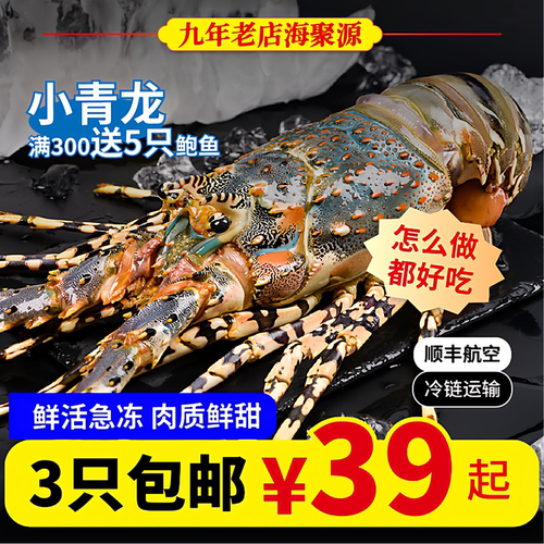 满300送鲍鱼!海捕小青龙花龙鲜冻