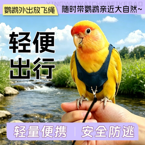 鹦鹉外出放飞服便携出行虎皮玄凤牡丹小太阳防逃逸外出遛鸟神器