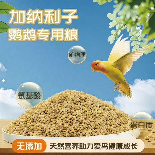 鹦鹉加纳利子鸟食中小型专用鸟食高蛋白高营养鸟类饲料鸟粮鹦鹉粮