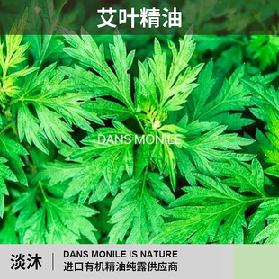 艾叶单方天然精油香薰扩香身体护肤护理产地源头小样