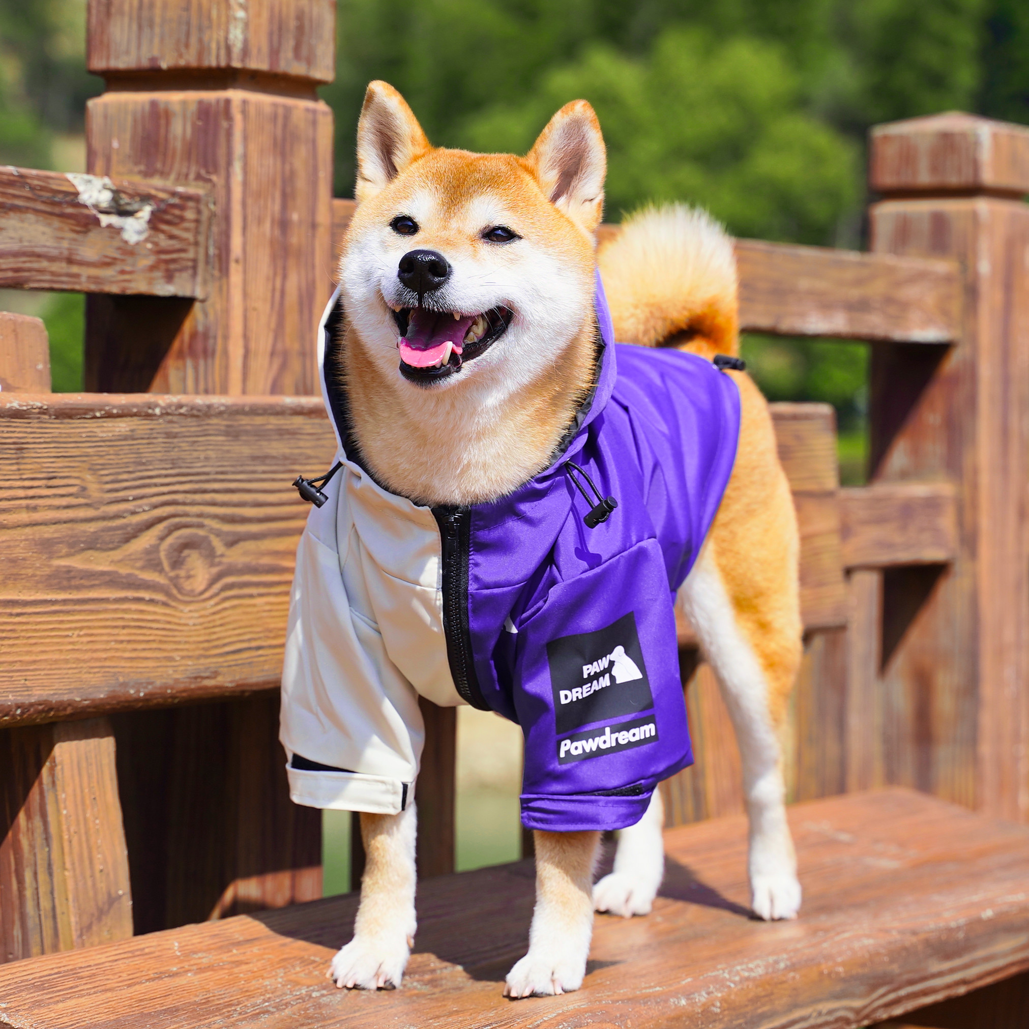狗狗雨衣宠物潮牌冲锋衣户外连帽柴犬衣服外套防水防风中型犬雨衣