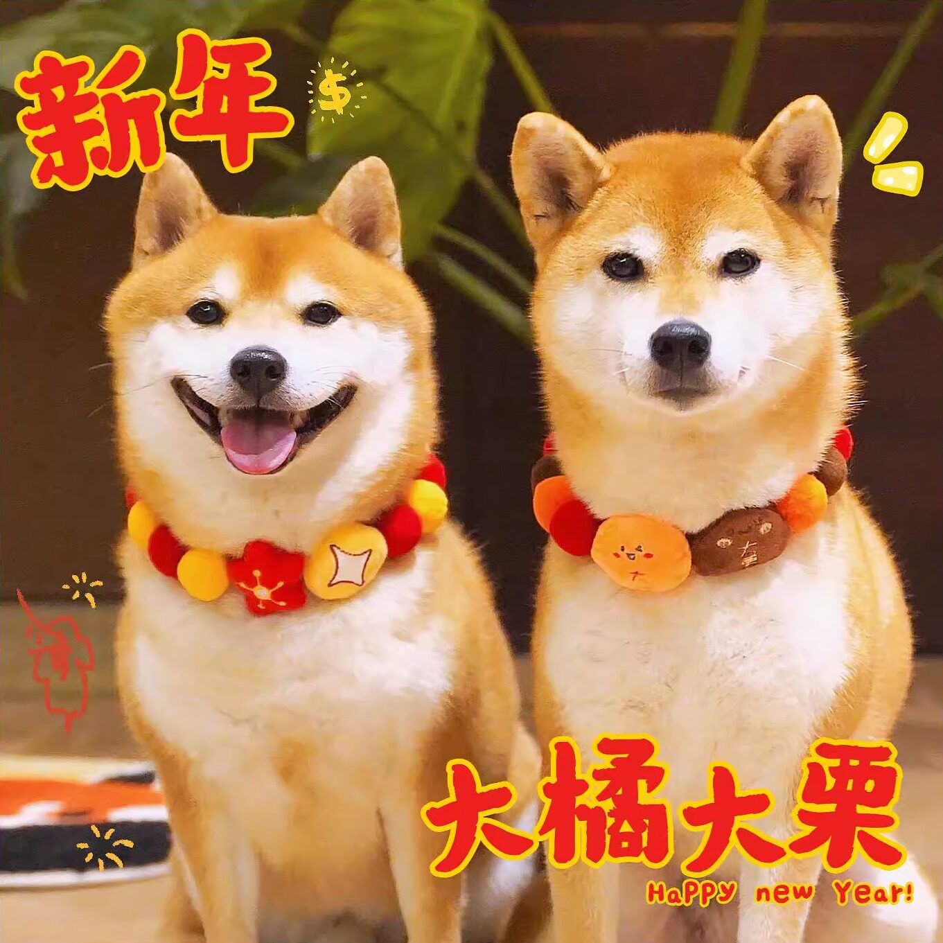 宠物新年围脖狗狗喜庆过年围巾开运拜年衣服柴犬泰迪猫拍照配饰