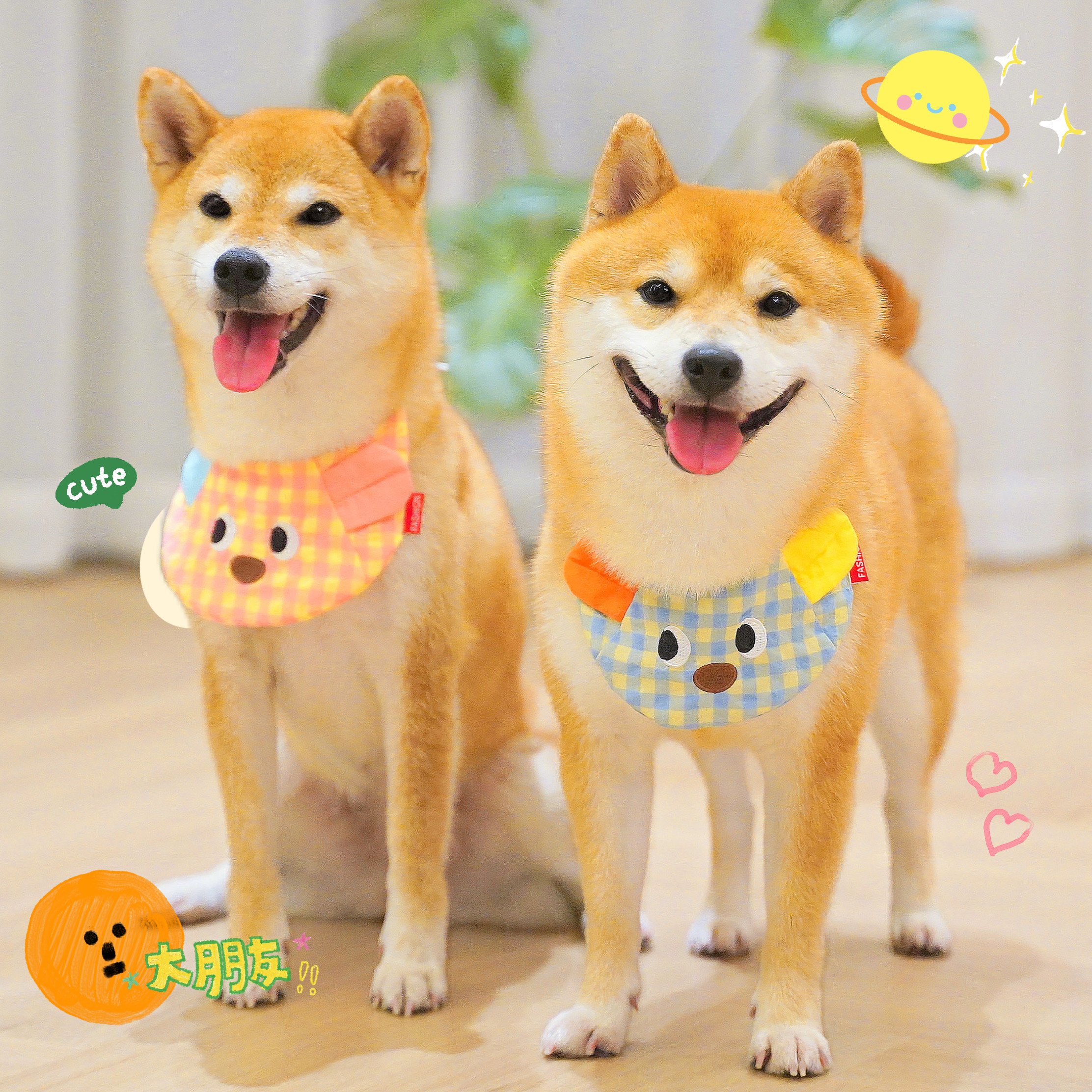 狗狗可爱围脖狗狗围兜