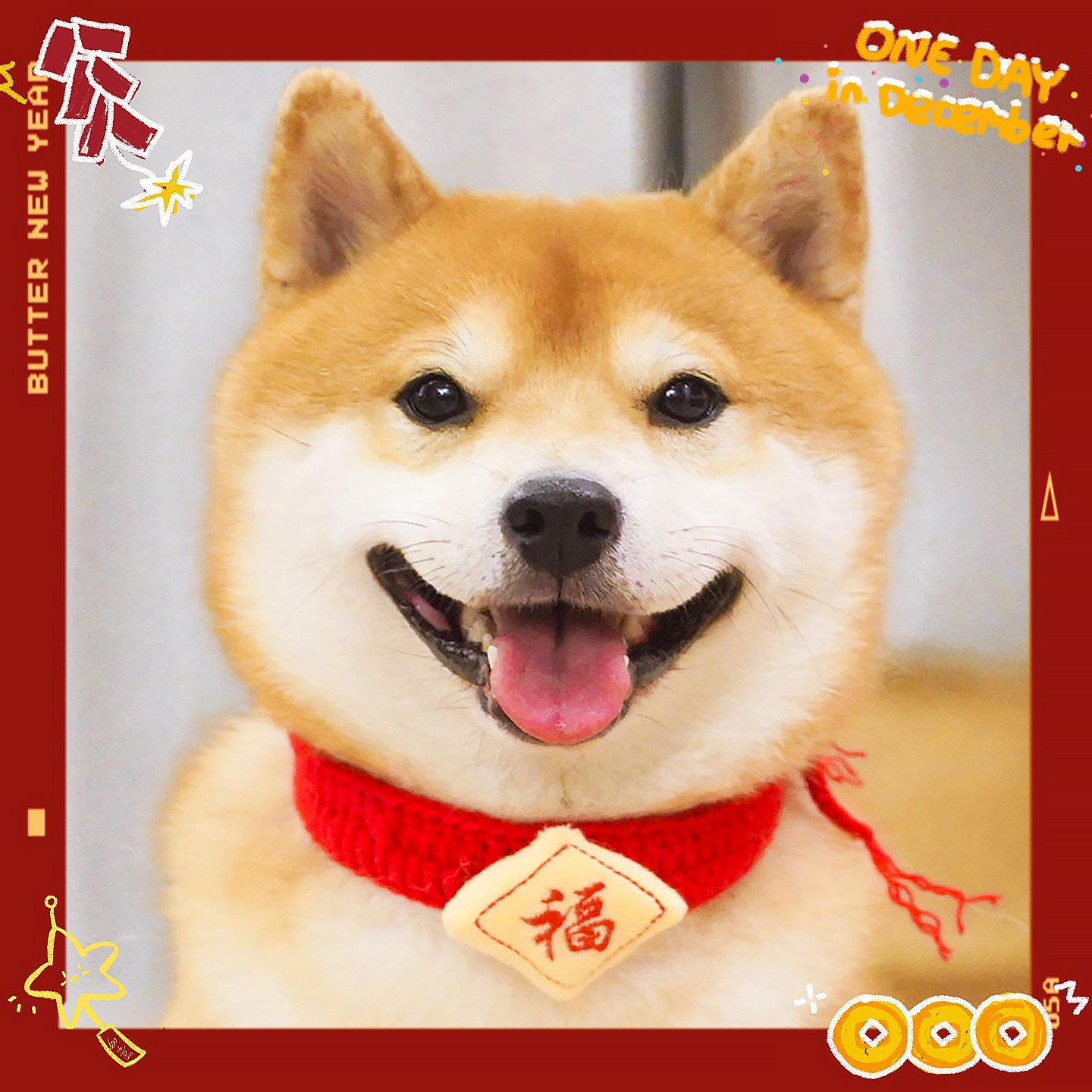 狗狗喜庆开运围脖新年衣服围巾宠物柴犬毛线针织过拜年红项圈领结