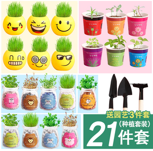 学生迷你小盆栽植物观察生长绿植创意草头娃娃幼儿园儿童奖品批发