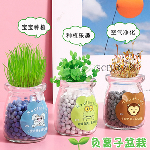 儿童小盆栽观察发芽生长diy负离子绿植幼儿园朋友生日活动小礼品